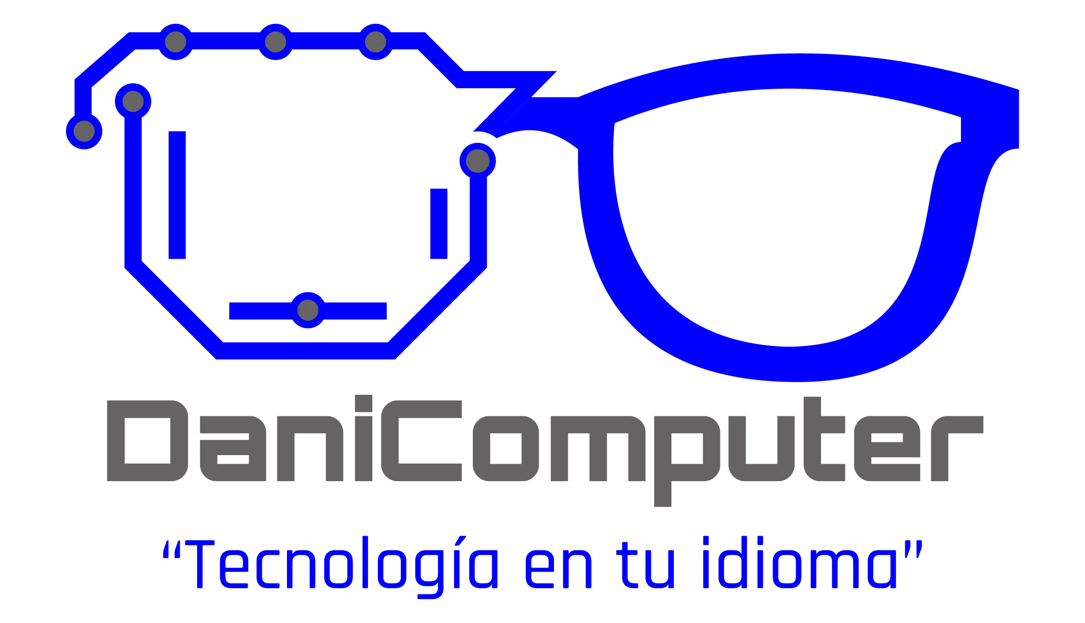 Danicomputer Logo
